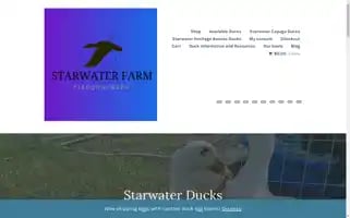 Starwaterducks.com Screenshot 2024-05-26 23:48:07