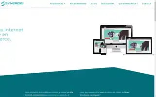 Synergie.re Screenshot 2024-06-17 16:37:50