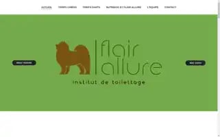 Toiletteur-lyon-flair-allure.fr Screenshot 2024-06-17 18:22:49