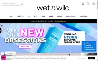Wetnwildbeauty.com Screenshot 2024-05-15 02:02:34