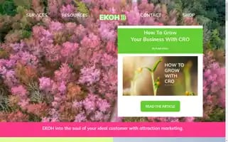 Ekohmarketing.com Screenshot 2024-06-17 09:29:29