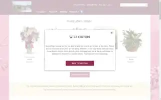 Basketoflove.biz Screenshot 2024-05-15 13:35:33
