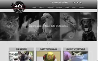 Valleyviewvet.com Screenshot 2024-07-06 03:20:07