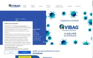 Vibag.com.ec Screenshot 2024-06-12 23:55:30