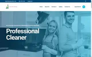 Shinysteelcleaningservices.com Screenshot 2024-05-28 10:36:36