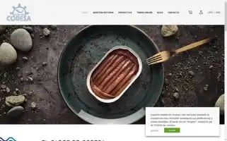 Codesa.es Screenshot 2024-06-12 09:44:09
