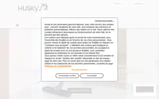 Aspiration-centralisee-husky.fr Screenshot 2024-06-26 00:57:44