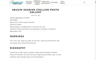 Crabbet.com Screenshot 2024-05-09 07:00:38