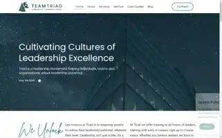 Teamtriad.co.uk Screenshot 2024-07-09 20:20:01