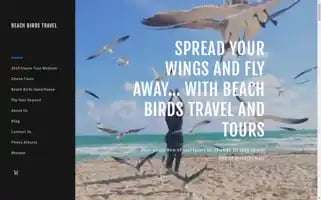 Beachbirdstravel.com Screenshot 2024-04-18 17:46:06