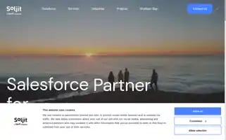 Soljit.com Screenshot 2024-06-12 20:54:20