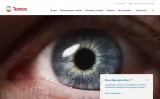 Tereos.com Screenshot 2024-06-14 00:00:42