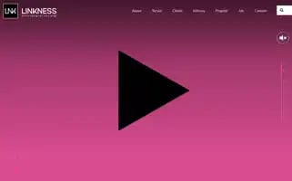 Linkness.com Screenshot 2024-07-08 18:25:28