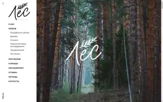 Les-agency.ru Screenshot 2024-06-29 00:28:13
