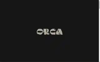 Onlyorca.com Screenshot 2024-06-30 03:35:43