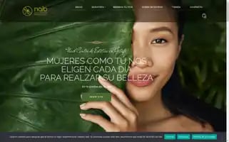 Naibeco.com Screenshot 2024-05-29 13:54:42