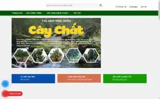 Caychat.net Screenshot 2024-05-22 07:58:55