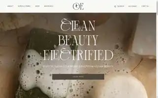 Theorganicesthetician.com Screenshot 2024-05-14 10:13:23