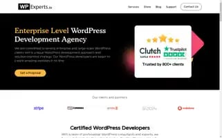 Wpexperts.io Screenshot 2024-06-19 05:24:39