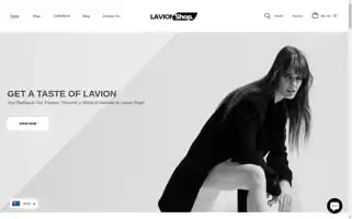 Lavionshop.com Screenshot 2024-05-03 20:33:09