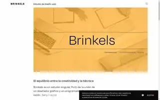 Brinkels.com Screenshot 2024-07-03 00:48:59