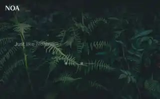 Noa-outdoor.com Screenshot 2024-07-01 07:20:34