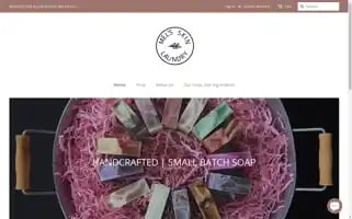 Melsskinlaundry.com Screenshot 2024-04-24 00:49:58