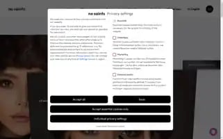 Nosaintsagency.com Screenshot 2024-06-26 05:00:25