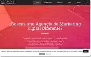 Reasons.es Screenshot 2024-06-25 22:59:28