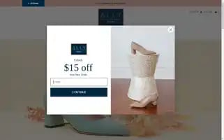 Ally.nyc Screenshot 2024-05-04 15:31:28