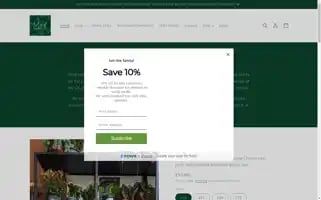 Mintplants.co.uk Screenshot 2024-05-05 14:11:37