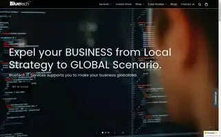 Bluetechitservices.com Screenshot 2024-05-05 23:42:27