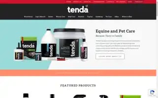 Tendahorse.com Screenshot 2024-07-01 06:13:06
