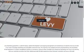 Levymarketing.com Screenshot 2024-07-04 17:53:39