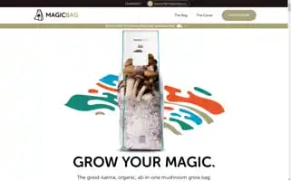 Magicbag.co Screenshot 2024-07-02 14:03:47