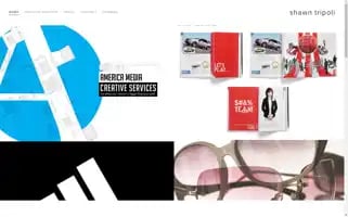 Shawntripoli.com Screenshot 2024-04-16 04:48:40