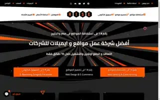 Rise-host.com Screenshot 2024-06-14 04:13:07