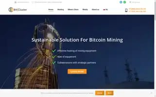 Bitcluster.ru Screenshot 2024-06-12 11:57:13