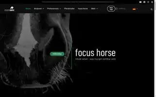 Focus-horse.de Screenshot 2024-07-07 19:16:10