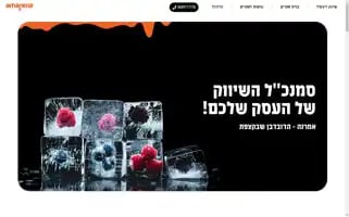 Amarena.agency Screenshot 2024-06-16 13:07:13