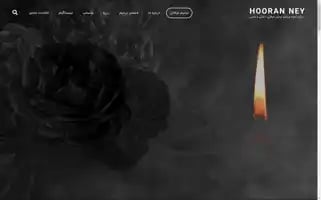 Hooranney.com Screenshot 2024-06-29 11:25:26