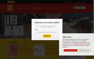 Plataforma-llengua.cat Screenshot 2024-07-04 08:02:04