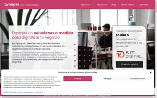 Synapse.es Screenshot 2024-06-14 20:53:11