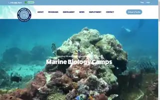 Seaturtlecamp.com Screenshot 2024-06-28 23:18:04