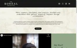 Theborealcollective.com Screenshot 2024-06-29 16:39:57