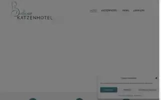 Deluxe-katzenhotel.ch Screenshot 2024-04-26 11:38:09