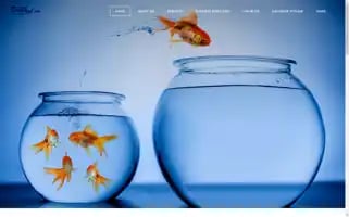 Donpaul.com Screenshot 2024-06-29 12:56:31