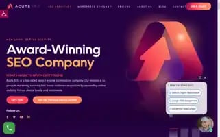 Acuteseo.com Screenshot 2024-06-13 05:36:12