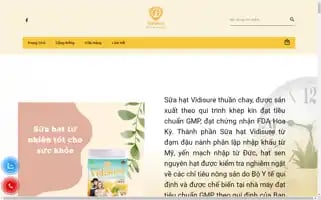 Vidisure.com Screenshot 2024-05-23 05:27:02