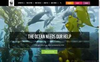 Wwf.org.nz Screenshot 2024-07-09 12:32:41